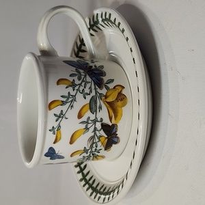 Vintage 1972 portmeirion botanic garden  Circa 1818 cup and saucer cytisus scop